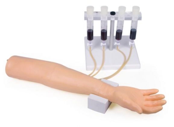 https://mail.jayakelana.co.id/uploads/product/-7010-training-arm-for-7306154b5f4edd2_cover.jpg