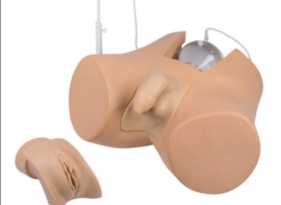 https://mail.jayakelana.co.id/uploads/product/-7030-catheterization-trainer-with-797206ad70bc1f1_cover.jpg