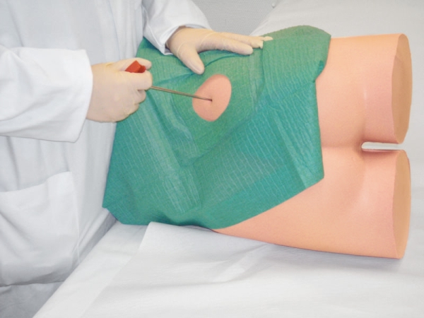 (7090) Simulator for IM Injection and Punch Biopsy of The Iliac Crest