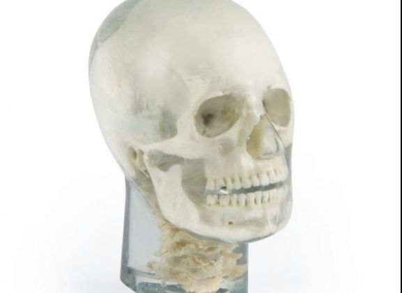 https://mail.jayakelana.co.id/uploads/product/-7300-x-ray-phantom-head-788086d6d940225_cover.jpg