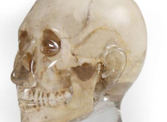 https://mail.jayakelana.co.id/uploads/product/-7320-x-ray-phantom-head--9158351c6a21c55_cover.jpg
