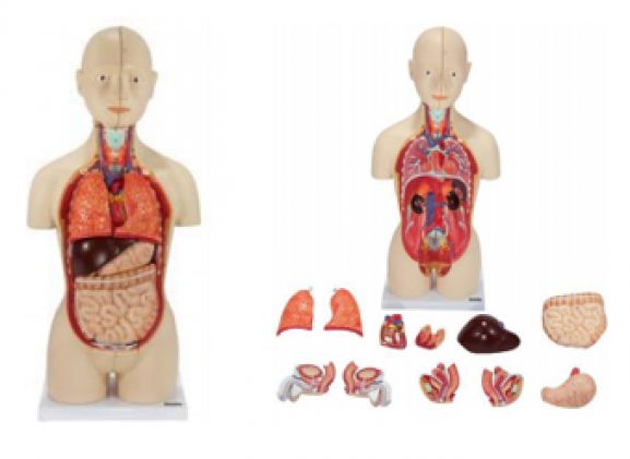 https://mail.jayakelana.co.id/uploads/product/-a-104264-axis-scientific-16-part-30663c5842538a5_cover.png