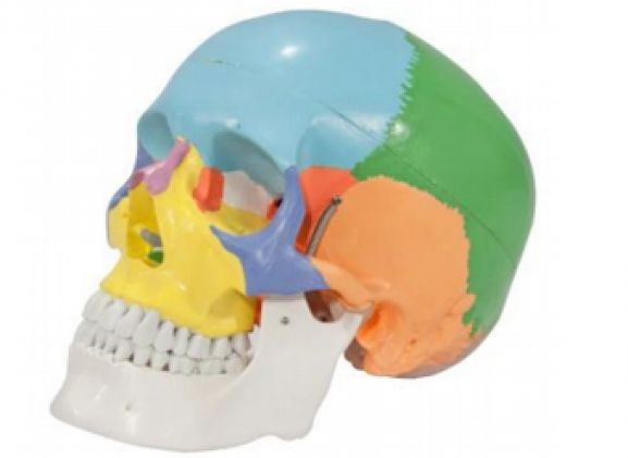 https://mail.jayakelana.co.id/uploads/product/-a-104268-axis-scientific-3-part-340035bc972449c_cover.png