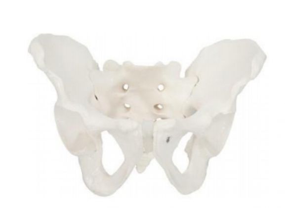 https://mail.jayakelana.co.id/uploads/product/-a-104275-axis-scientific-male-37421c45a038715_cover.png