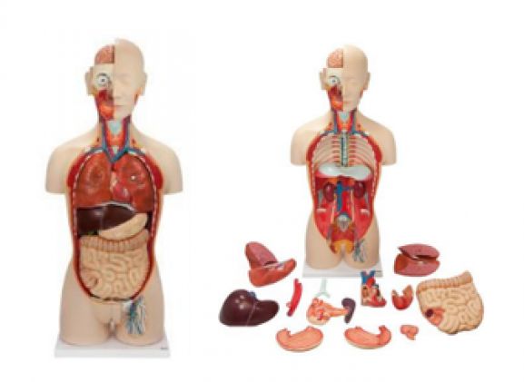 https://mail.jayakelana.co.id/uploads/product/-a-104286-axis-scientific-27-part-47255c561b42dbd_cover.png
