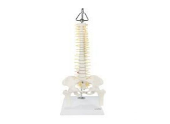 https://mail.jayakelana.co.id/uploads/product/-a-105162-axis-scientific-miniature-703296a087a77e4_cover.png