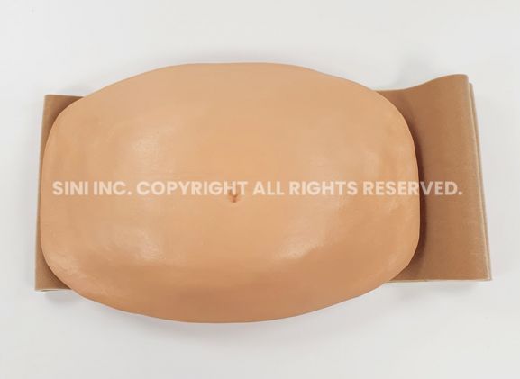 https://mail.jayakelana.co.id/uploads/product/-a-aib-01-abdominal-injection-trainer-band-49765befd6f9521_cover.jpg