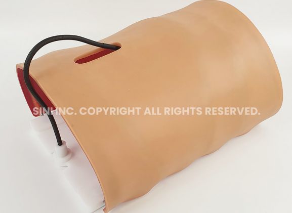https://mail.jayakelana.co.id/uploads/product/-a-lpl-01-laparoscopic-body-type-806753863c1ae61_cover.jpg