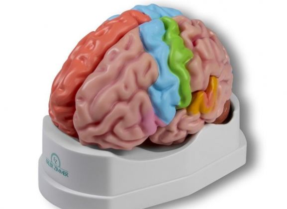 https://mail.jayakelana.co.id/uploads/product/-c922-functional-and-regional-826369c034c0b46_cover.jpg