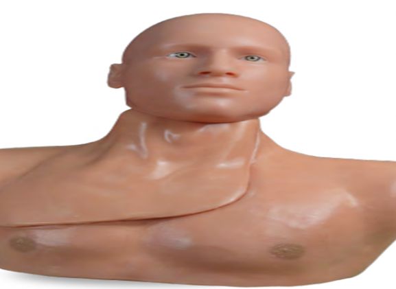 https://mail.jayakelana.co.id/uploads/product/-clm-50-centralineman-system-w-o-93983cf9e25ace1_cover.png