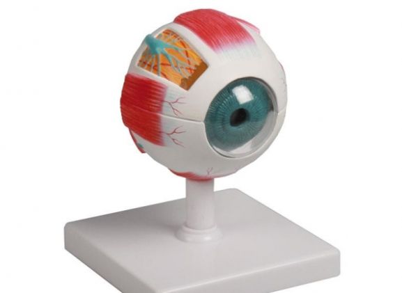 https://mail.jayakelana.co.id/uploads/product/-f210-eye-model-4-922211e6e863c36_cover.jpg