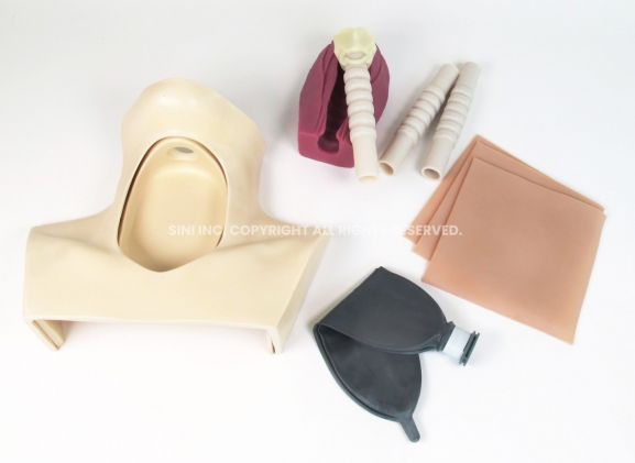 https://mail.jayakelana.co.id/uploads/product/-h-tct-01-tracheotomy-trainer-98802e99a75316a_cover.jpg