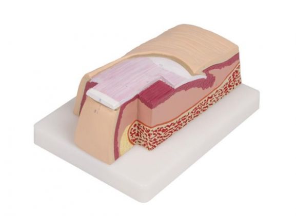 https://mail.jayakelana.co.id/uploads/product/-j60-nail-model-5-721022333ffa0e0_cover.jpg