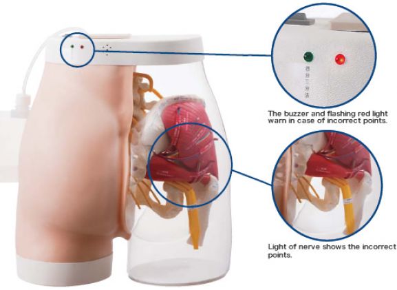 https://mail.jayakelana.co.id/uploads/product/-m152-intramuscular-injection-model-441343cce23994e_cover.jpg