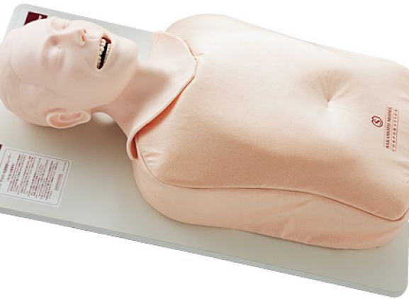 https://mail.jayakelana.co.id/uploads/product/-m167-airway-management-trainer-12129c40862202d_cover.jpg