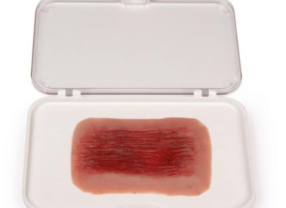 https://mail.jayakelana.co.id/uploads/product/-nw006-wound-moulage-abrasion-4289415f9a18395_cover.jpg