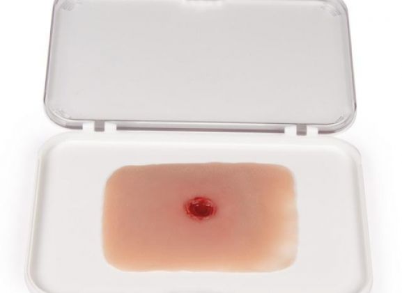 https://mail.jayakelana.co.id/uploads/product/-nw010a-wound-moulage-bullet-23561aa381f358d_cover.jpg
