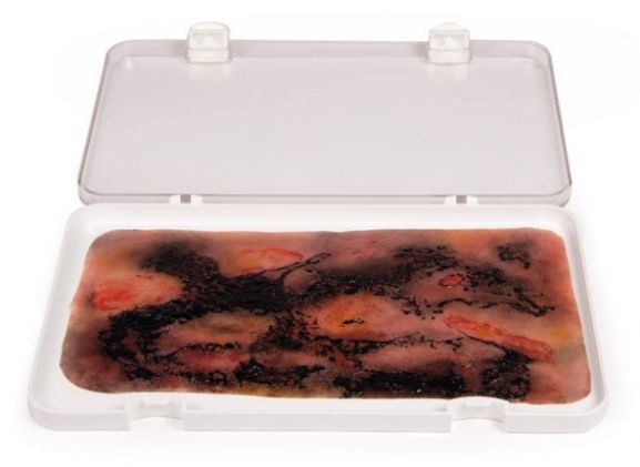 https://mail.jayakelana.co.id/uploads/product/-nw107-wound-moulage-3rd-43228452ee46fd8_cover.jpg