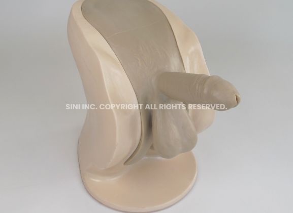 https://mail.jayakelana.co.id/uploads/product/-p-ctb-01-male-catheterization-trainer-64673b17428a4c9_cover.jpg