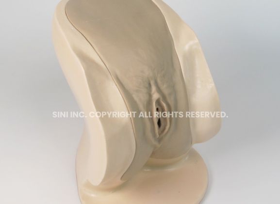 https://mail.jayakelana.co.id/uploads/product/-p-ctb-02-female-catheterization-trainer-74319ae763b1cc8_cover.jpg