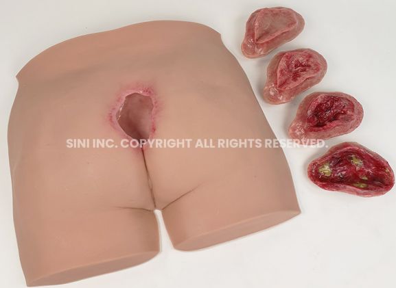 https://mail.jayakelana.co.id/uploads/product/-p-deu-01-decubitus-ulcer-trainer-36706786ebaa4b7_cover.jpg