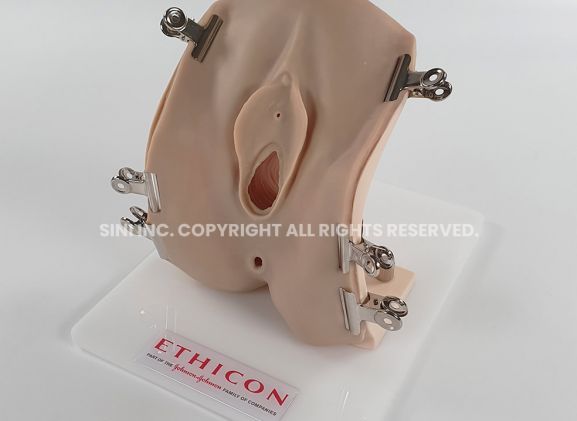 https://mail.jayakelana.co.id/uploads/product/-p-epi-02-episiotomy-trainer-267977ebddc5fec_cover.jpg