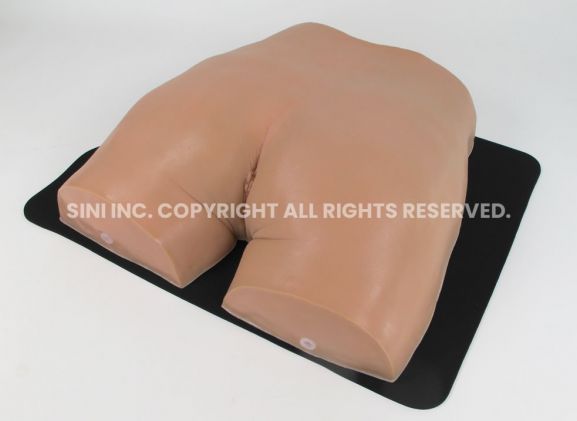 https://mail.jayakelana.co.id/uploads/product/-p-img-01-gluteal-intramuscular-injection-83497947d48ee67_cover.jpg