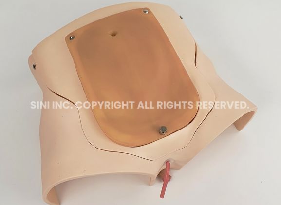 https://mail.jayakelana.co.id/uploads/product/-p-prt-01-prostatectomy-trainer-intuitive-7418767aa0c10b7_cover.jpg