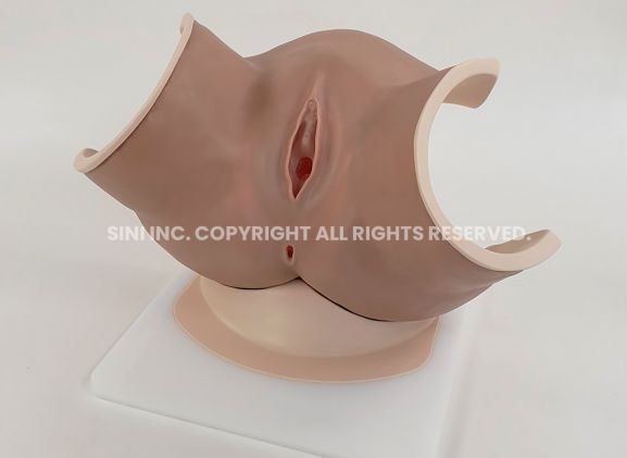 https://mail.jayakelana.co.id/uploads/product/-p-vag-01-vaginitis-model-81552fd3b54357e_cover.jpg