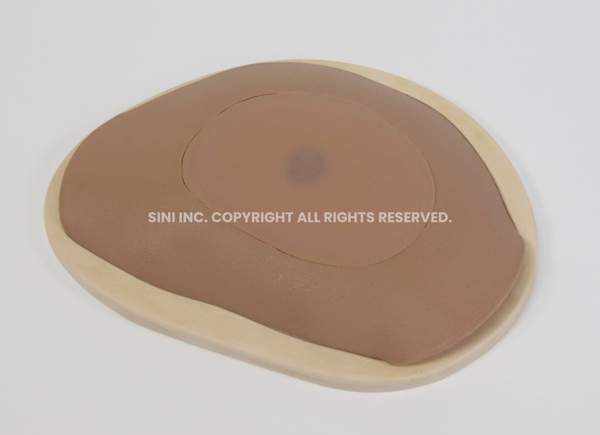 (S-ABS-01) Abscess Drainage Trainer