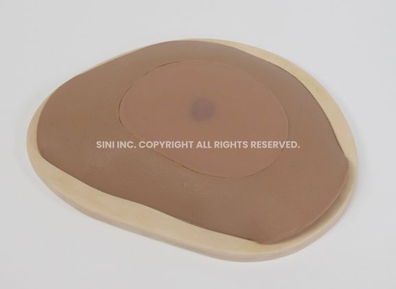https://mail.jayakelana.co.id/uploads/product/-s-abs-01-abscess-drainage-trainer-363429f4a5f201e_cover.jpg