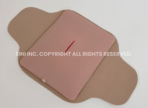 https://mail.jayakelana.co.id/uploads/product/-s-loa-01-local-anesthesia-trainer-240368aeed3102c_cover.jpg