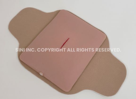 https://mail.jayakelana.co.id/uploads/product/-s-loa-01-local-anesthesia-trainer-3889203060fd044_cover.jpg