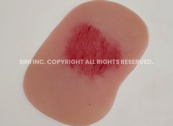 https://mail.jayakelana.co.id/uploads/product/-s-wtt-01-wound-treatment-training-5715772e5530cba_cover.jpg