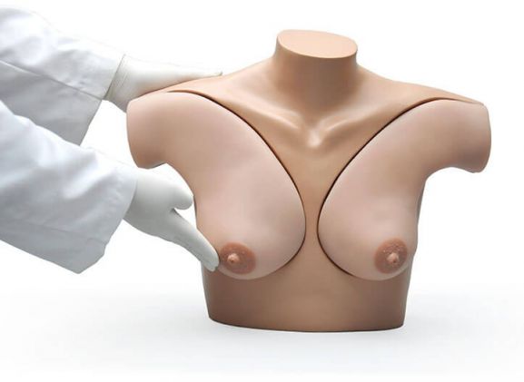 https://mail.jayakelana.co.id/uploads/product/-s230-42-breast-examination-skills-4251411f61f6164_cover.jpg