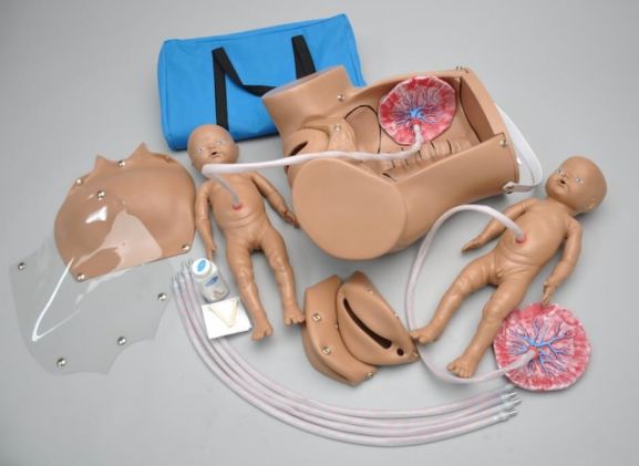 https://mail.jayakelana.co.id/uploads/product/-s500-obstetric-susie-the-627151cfbc01238_cover.jpg