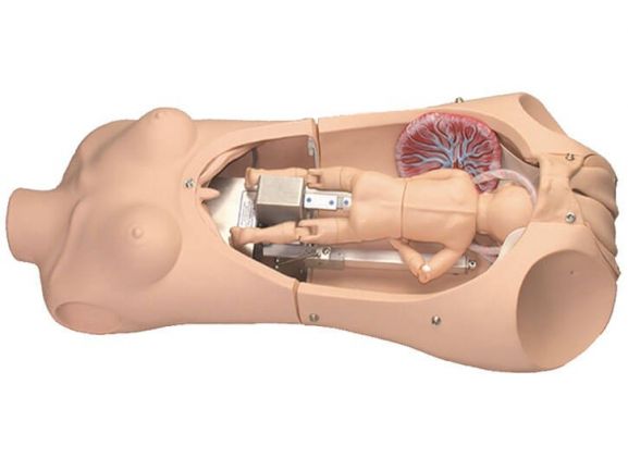 https://mail.jayakelana.co.id/uploads/product/-s552-noelle-automatic-childbirth-25076fa9741d347_cover.jpg