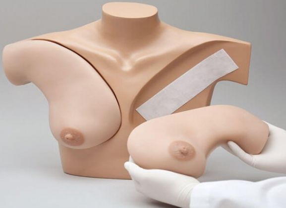 https://mail.jayakelana.co.id/uploads/product/-simulator-palpasi-payudara-untuk-523755d8035fc44_cover.jpg