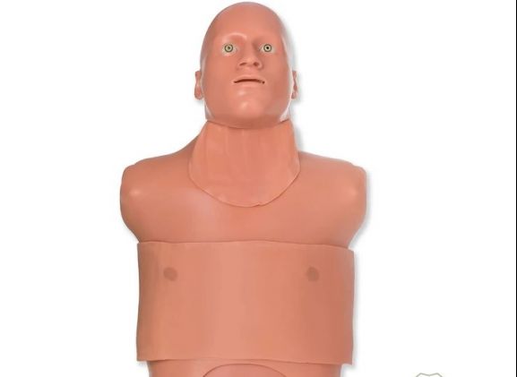 https://mail.jayakelana.co.id/uploads/product/-tm-5138-traumaman-surgical-simulator-76451fed8e861c1_cover.jpg
