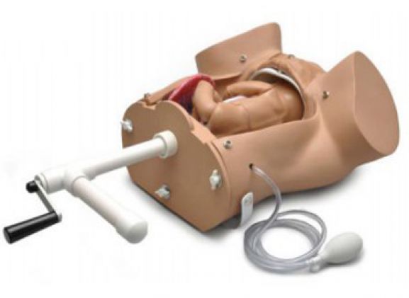 https://mail.jayakelana.co.id/uploads/product/-torso-persalinan-kebidanan-s500-100--666818909835ad0_cover.png