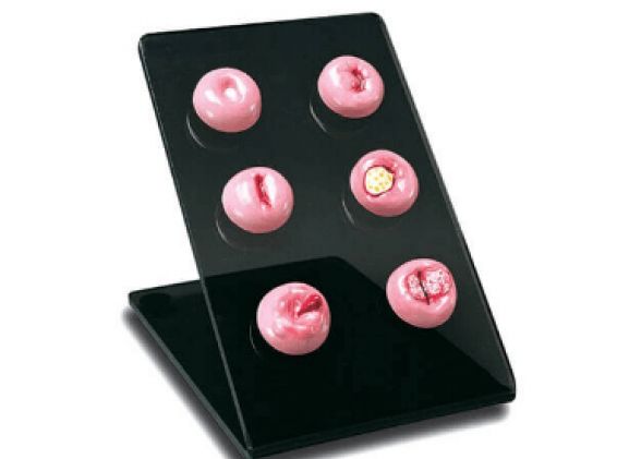 https://mail.jayakelana.co.id/uploads/product/cervical-replicas-s505--906936d80a06779_cover.png