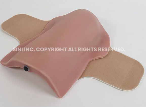 https://mail.jayakelana.co.id/uploads/product/deltoid-intramuscular-injection-trainer-3618154088c3781_cover.jpg