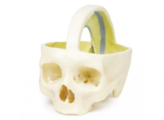https://mail.jayakelana.co.id/uploads/product/dural-skull-970661cea50abff_cover.jpg