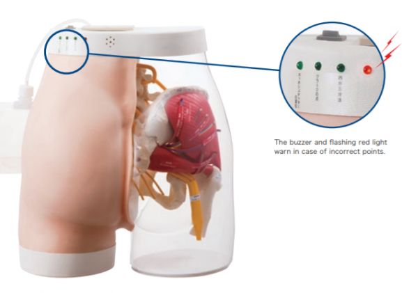 https://mail.jayakelana.co.id/uploads/product/intramuscular-injection-model-of-5833681713cf65b_cover.png