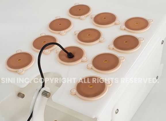 https://mail.jayakelana.co.id/uploads/product/laparoscopic-portable-trainer-207366ea642d044_cover.jpg