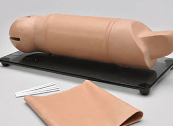 https://mail.jayakelana.co.id/uploads/product/lengan-pelatihan-implan-reproduksi-37750f3be4d71c3_cover.png