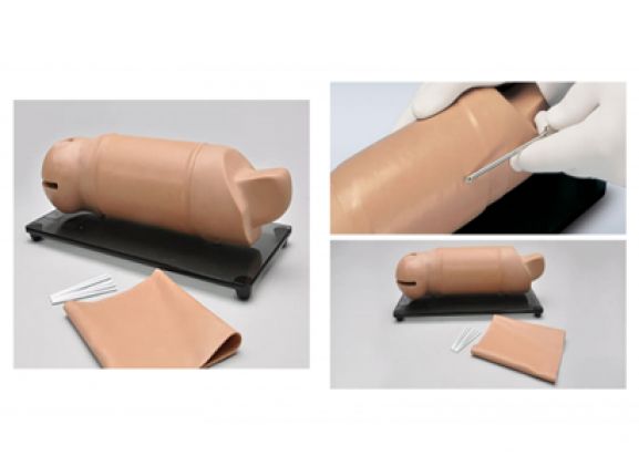https://mail.jayakelana.co.id/uploads/product/lengan-pelatihan-implan-reproduksi-66445a54815d81b_cover.png