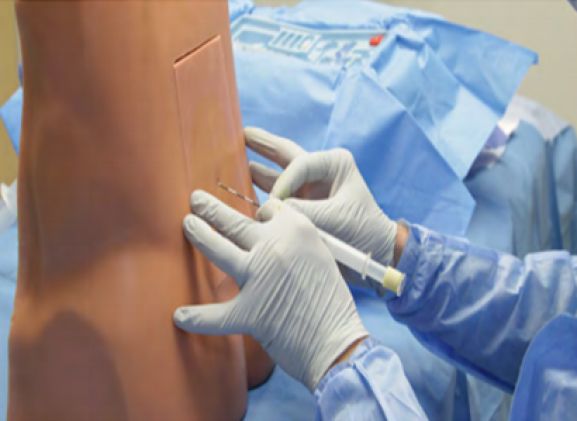 https://mail.jayakelana.co.id/uploads/product/pelatih-epidural-lumbar-le-30--910026af868330e_cover.png