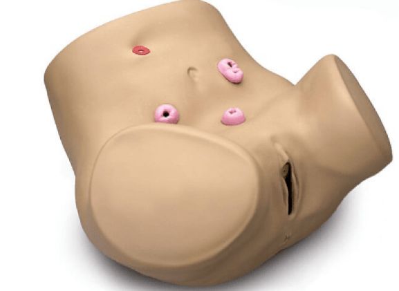 https://mail.jayakelana.co.id/uploads/product/pelatih-keterampilan-ostomi-perawatan-275226f46bac0bd_cover.png