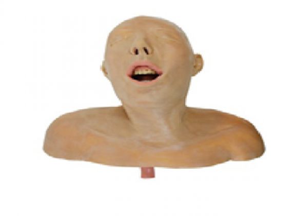 https://mail.jayakelana.co.id/uploads/product/pelatih-saluran-udara-dewasa-87408837ca17f92_cover.png